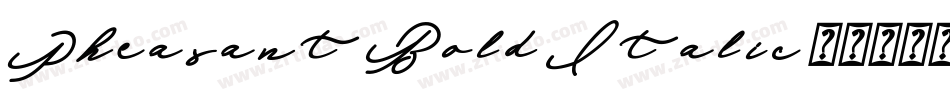 Pheasant Bold Italic字体转换